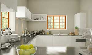 sridhar-kitchen-view-3